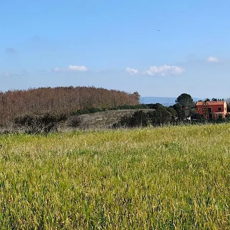 Vegan - Casale Sesamo & Mirto Appartement